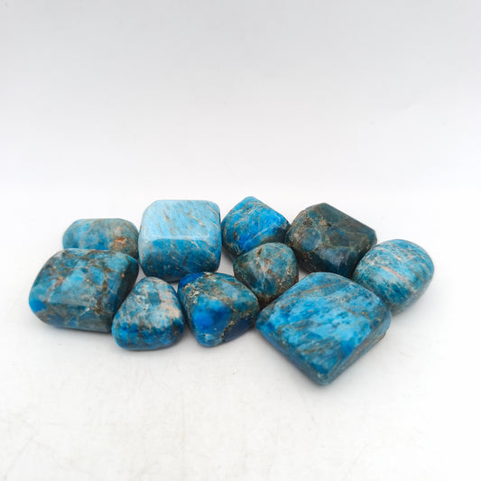 Pierres Roulées - Apatite bleue - (200 g) - Taille #05 - 2/4 cm - Qual. B