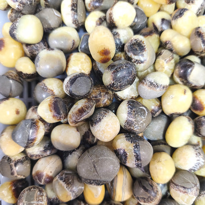 Pierres Roulées - Septaria - (200 g)