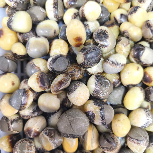 Pierres Roulées - Septaria - (200 g)