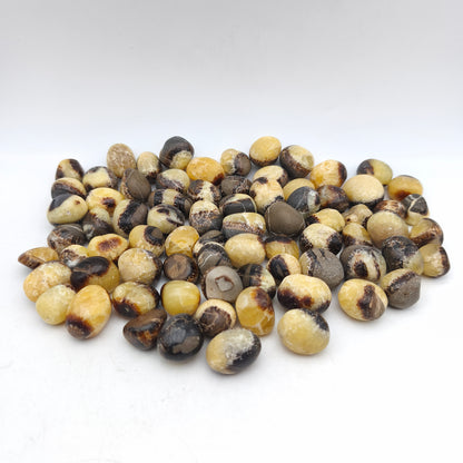 Pierres Roulées - Septaria - (200 g)