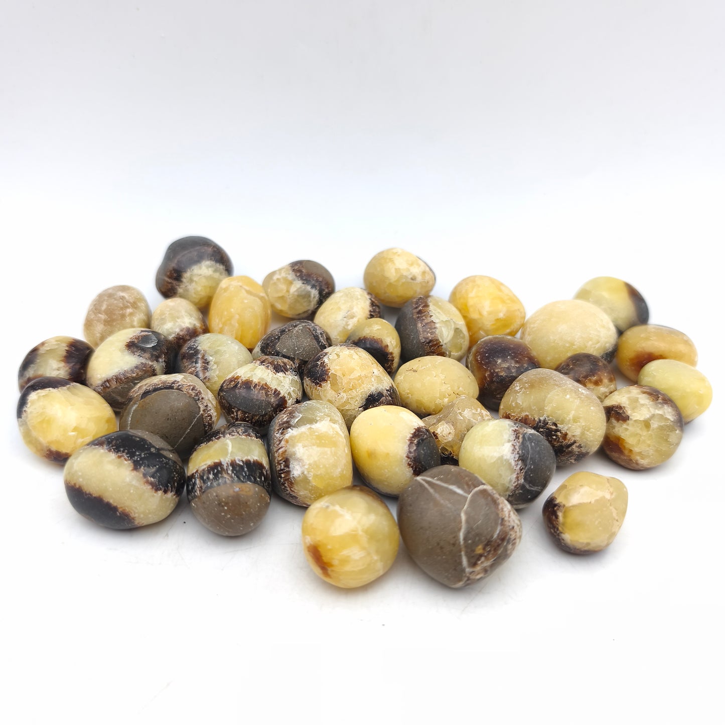 Pierres Roulées - Septaria - (200 g)