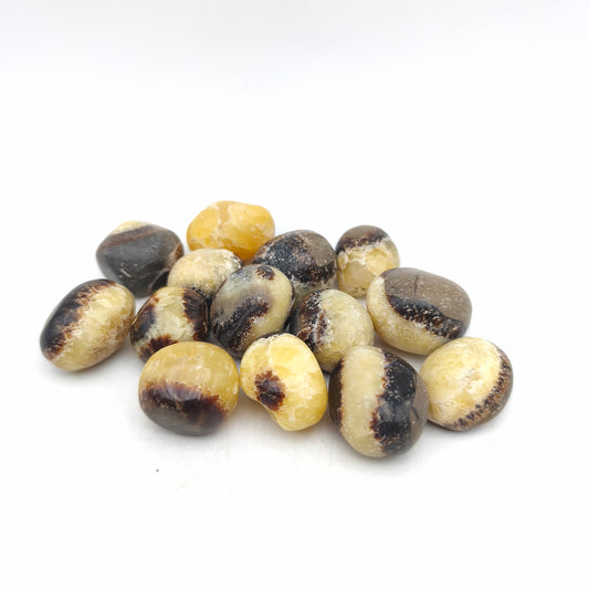 Pierres Roulées - Septaria - (200 g)