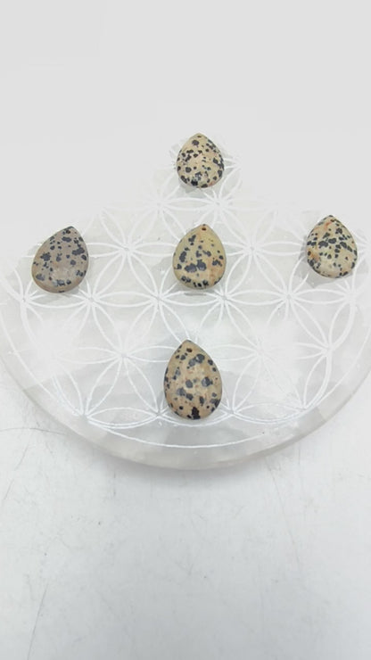 Pendentif Goutte Jaspe dalmatien