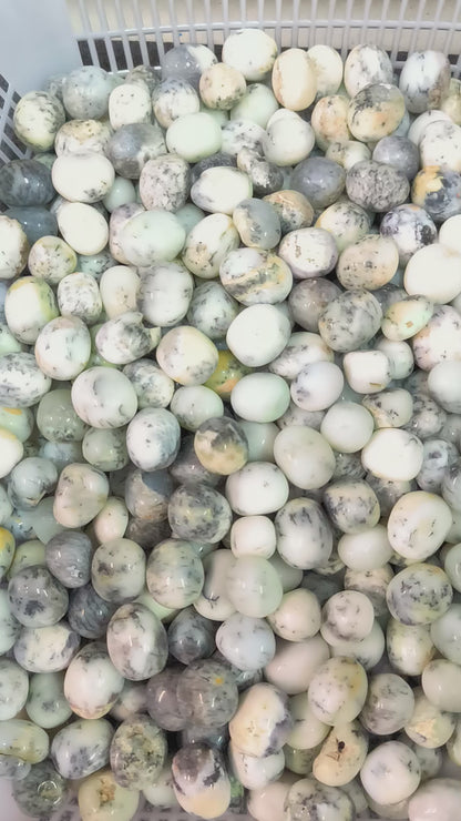 Pierres Roulées - Agate dendritique / Merlinite (200 g)