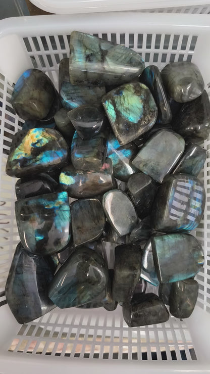 Forme Libre Mini - Labradorite - 500 g