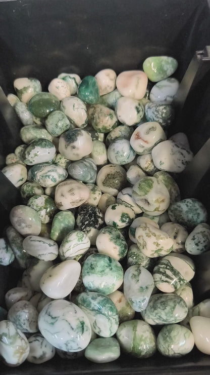 Pierres Roulées - Agate Arbre (200 g)