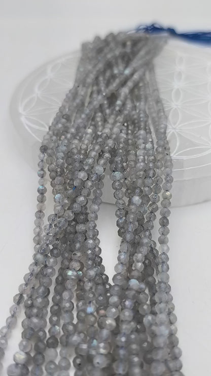 Rang de perles facettées - Labradorite (4 mm)