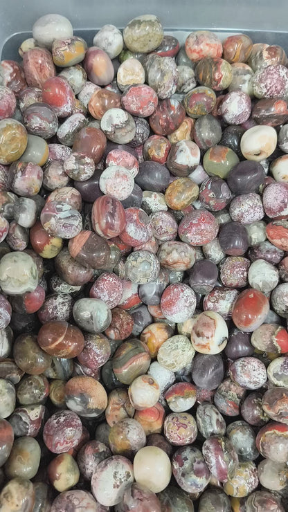 Pierres Roulées - Agate Crazy Lace (200 g)