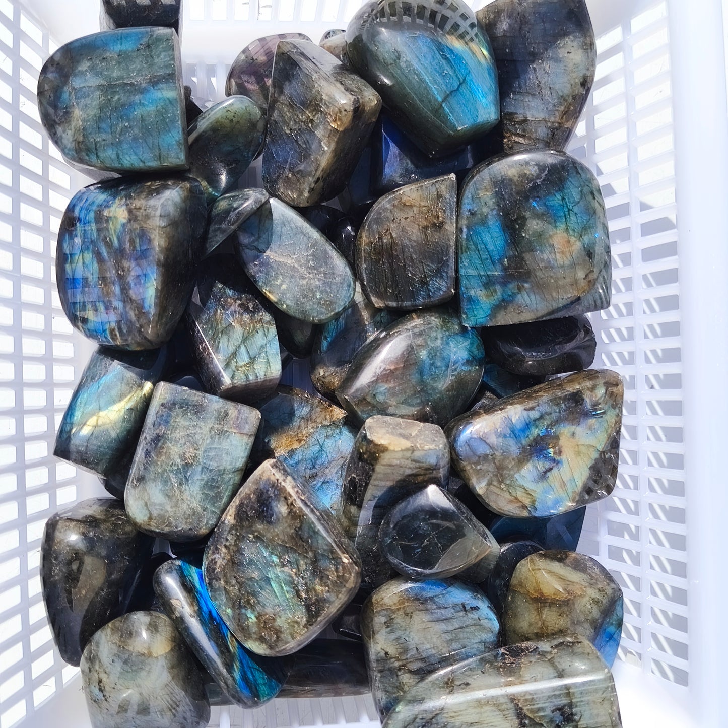 Forme Libre Mini - Labradorite - 500 g