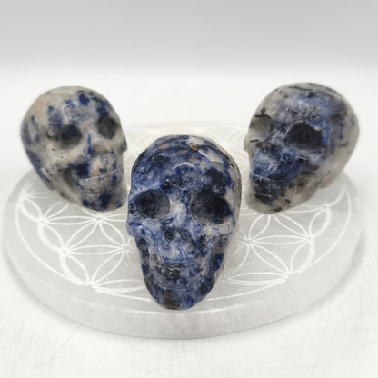 Crane - Sodalite - 6 cm