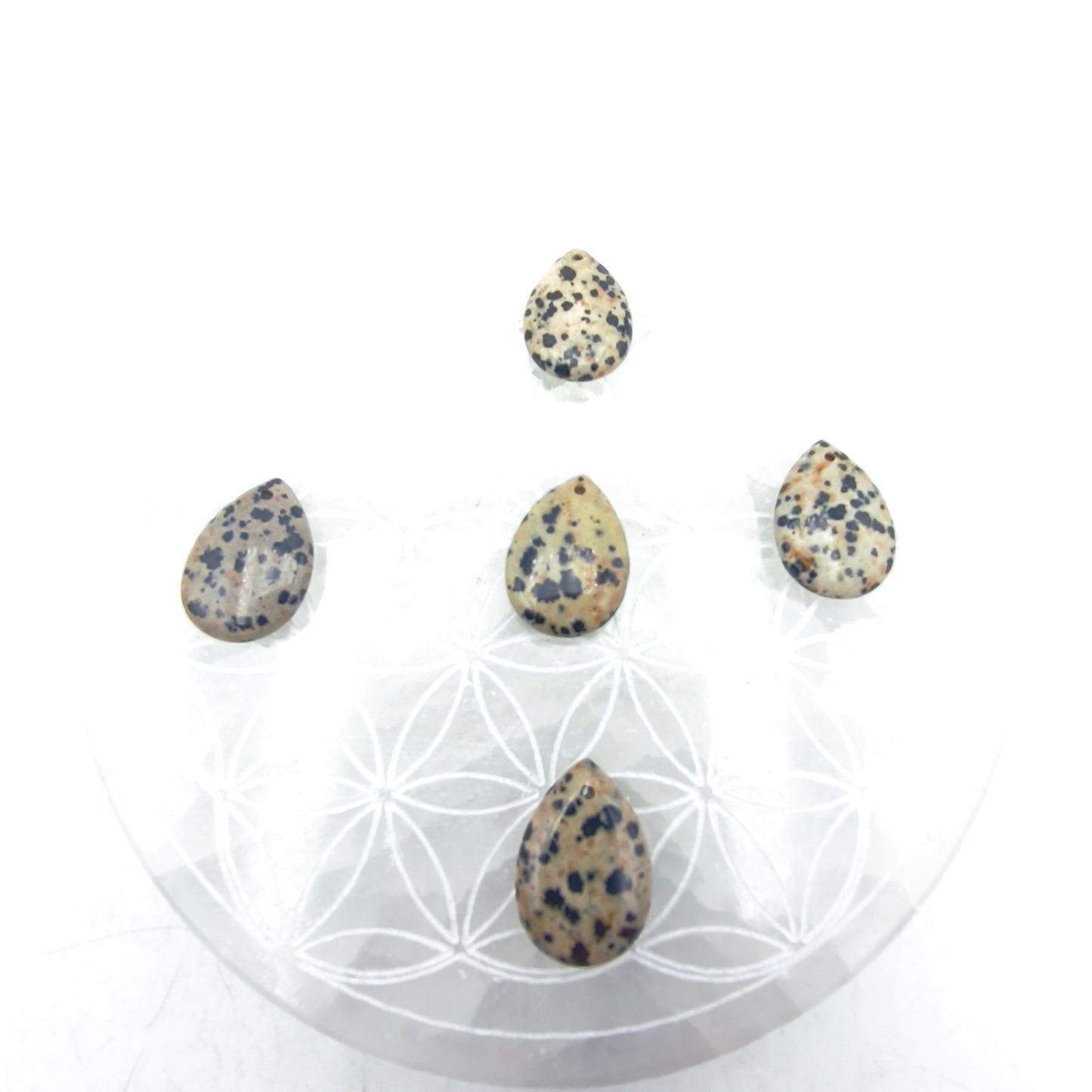 Pendentif Goutte Jaspe dalmatien