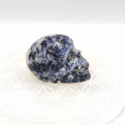 Crane - Sodalite - 6 cm