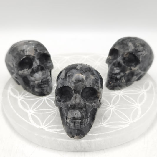 Crane - Larvikite - 6 cm