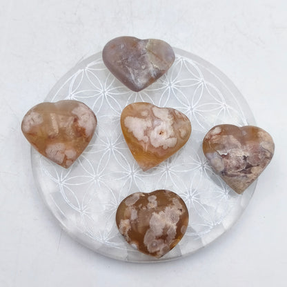 Petit Coeur - Agate Fleur (Sakura) - Taille GG