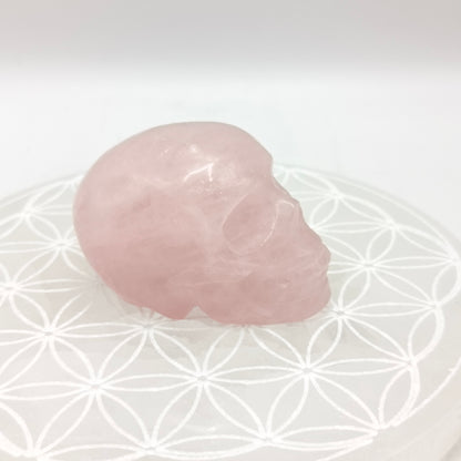 Crane - Quartz Rose - 6 cm