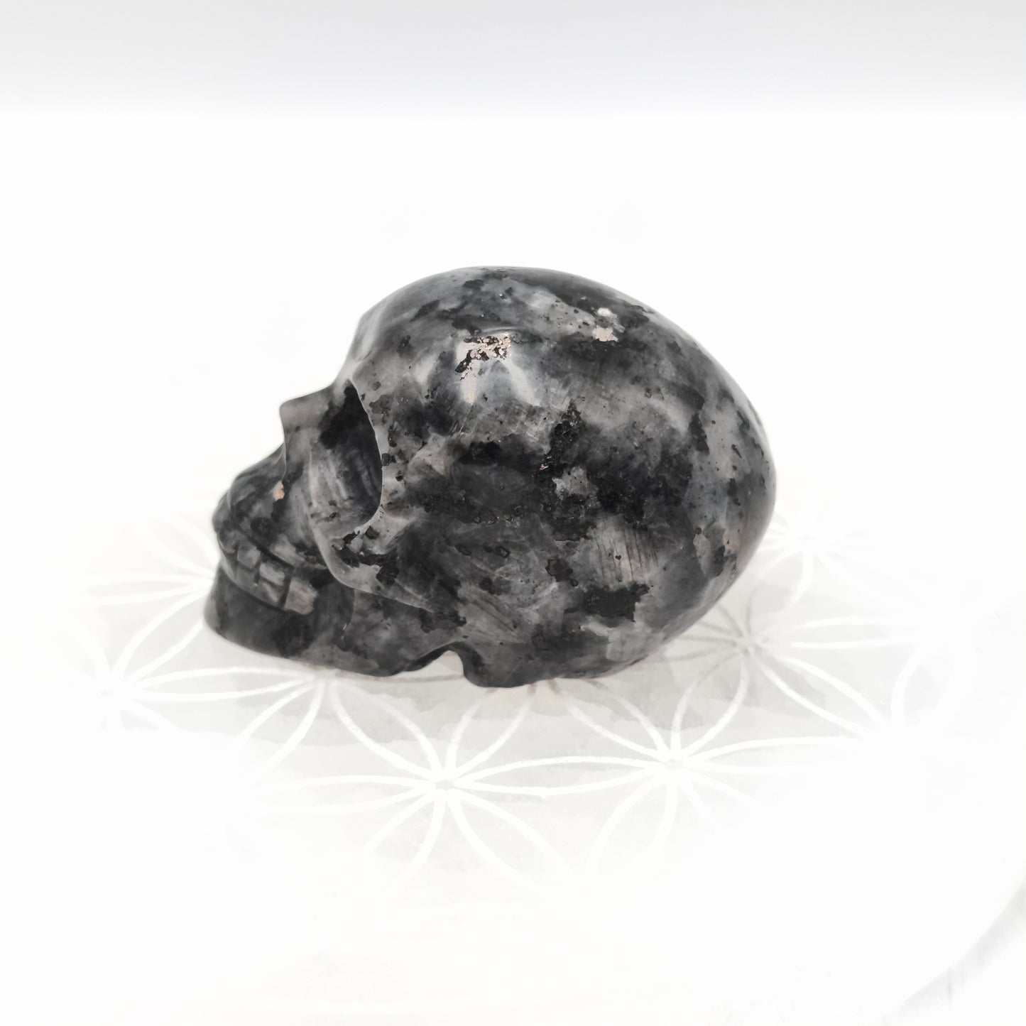 Crane - Larvikite - 6 cm
