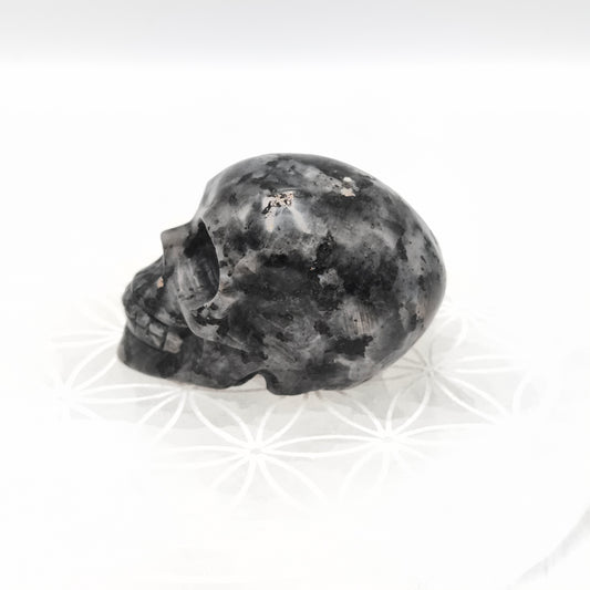 Crane - Larvikite - 6 cm