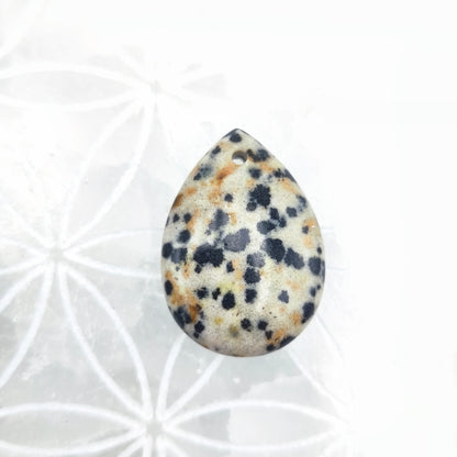 Pendentif Goutte Jaspe dalmatien