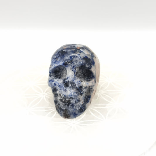 Crane - Sodalite - 6 cm